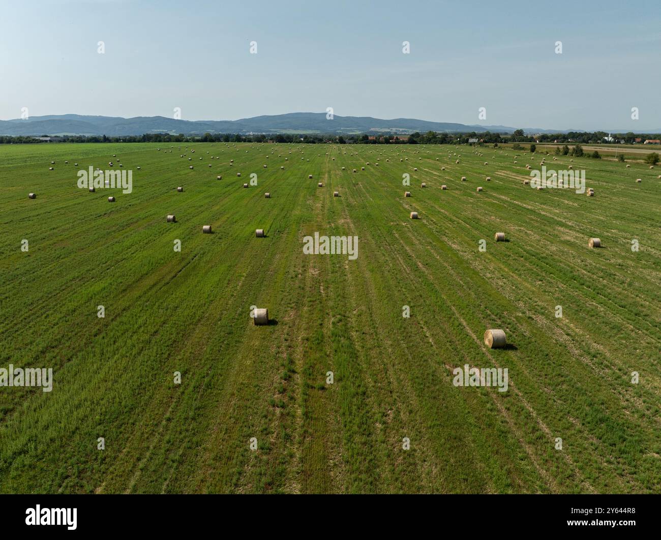 Grüne Wiese auf dem Land im Sommer voller Strohballen in der polnischen Provinz Opole. Luftaufnahme der Sommerfeldlandschaft mit trockenem Hay Stockfoto