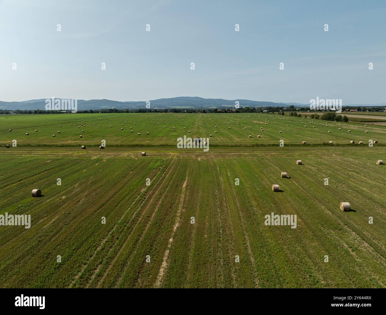 Grüne Wiese auf dem Land im Sommer voller Strohballen in der polnischen Provinz Opole. Luftaufnahme der Sommerfeldlandschaft mit trockenem Hay Stockfoto