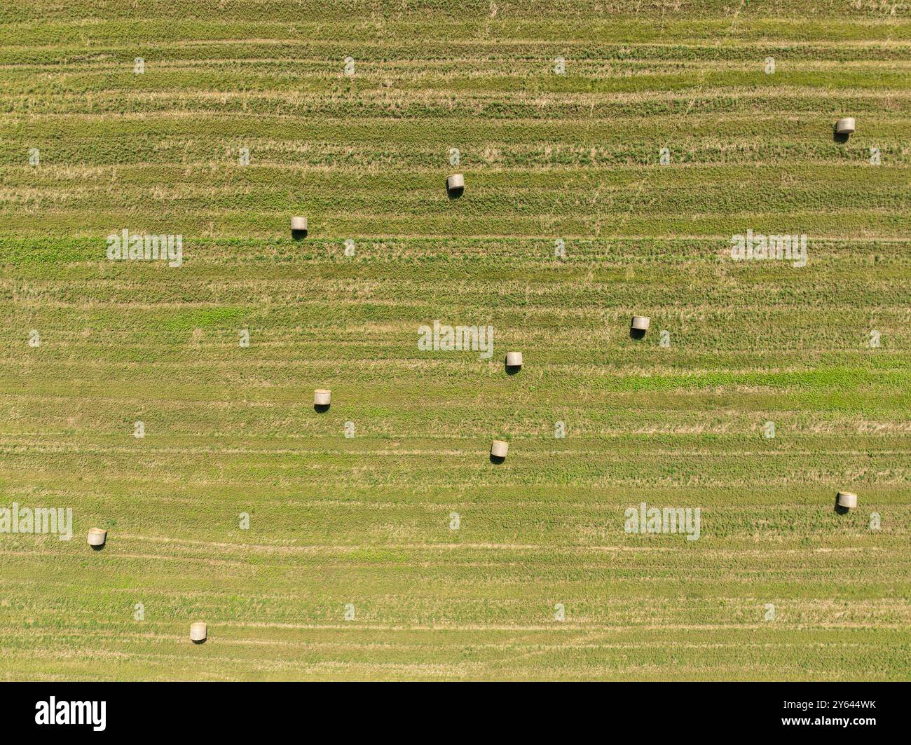Grüne Wiese auf dem Land im Sommer voller Strohballen in der polnischen Provinz Opole. Luftaufnahme der Sommerfeldlandschaft mit trockenem Hay Stockfoto