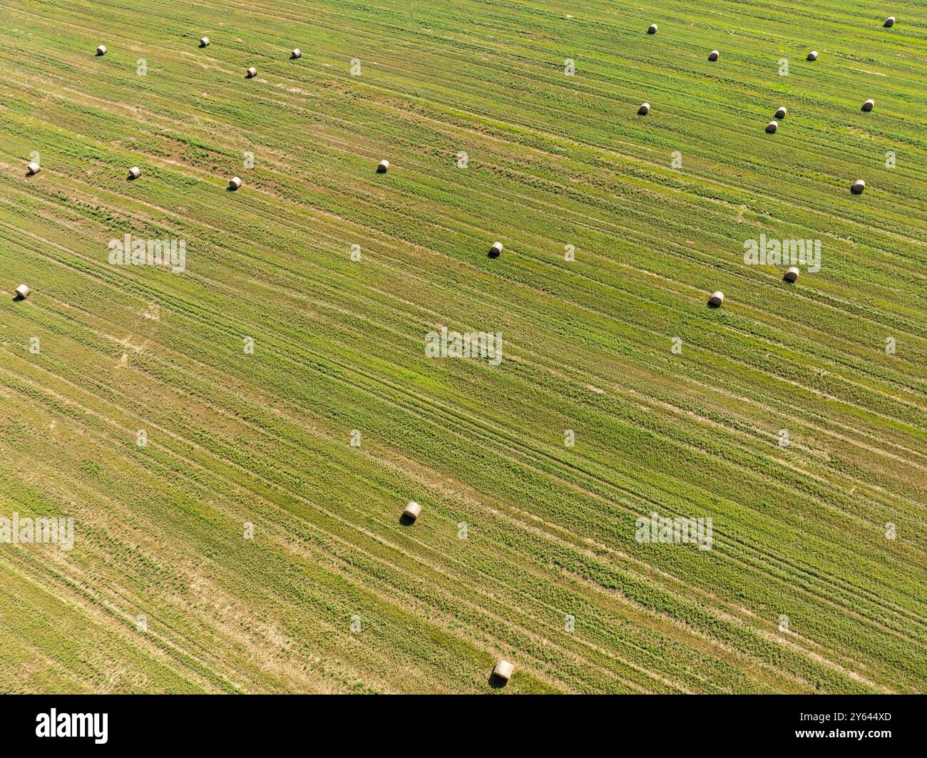 Grüne Wiese auf dem Land im Sommer voller Strohballen in der polnischen Provinz Opole. Luftaufnahme der Sommerfeldlandschaft mit trockenem Hay Stockfoto