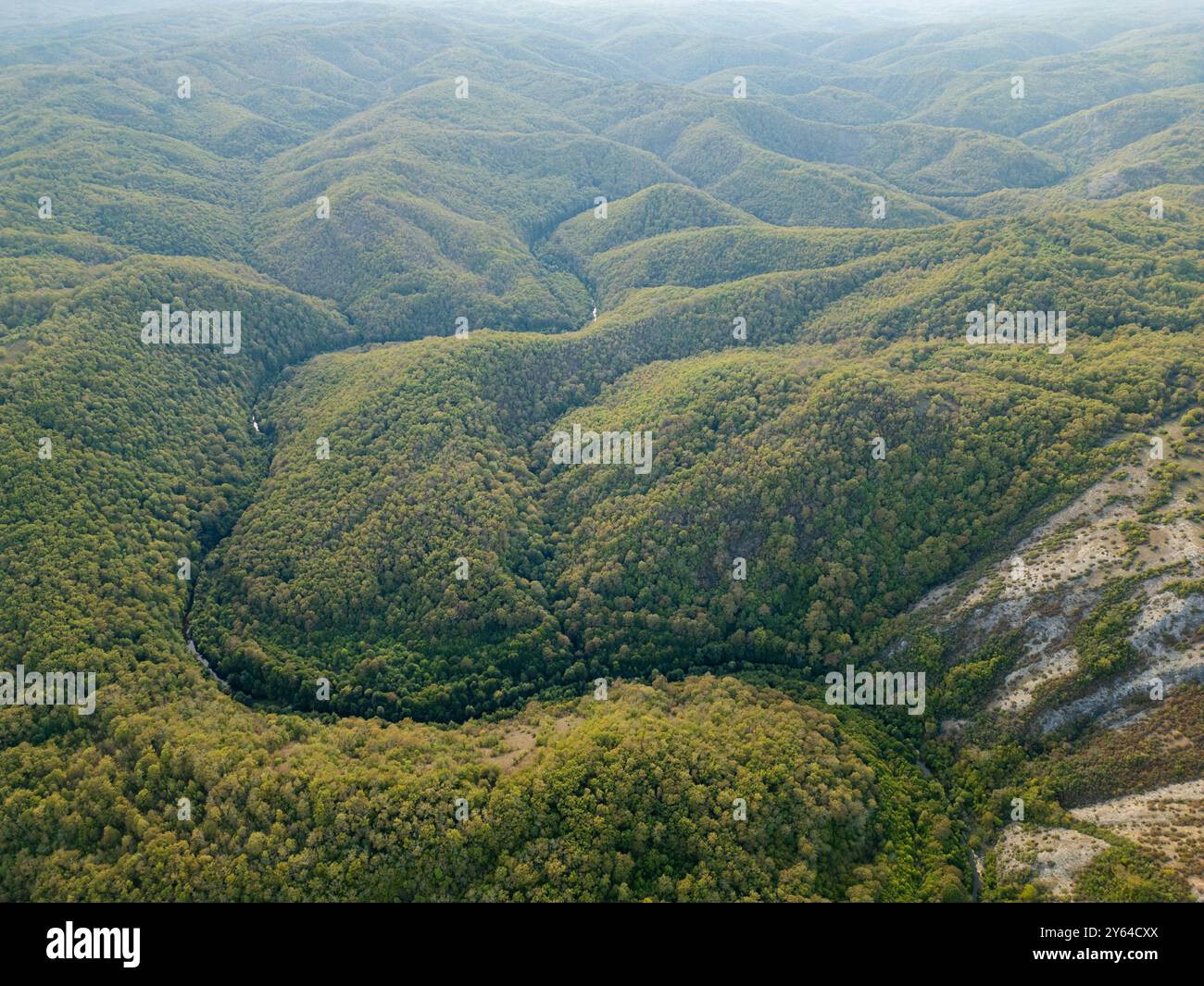 Ein faszinierender Blick über einen dichten grünen Wald mit felsigen Klippen und einem versteckten Fluss Veleka im Strandzha-Nationalpark, Bulgarien, Kalifornien Stockfoto