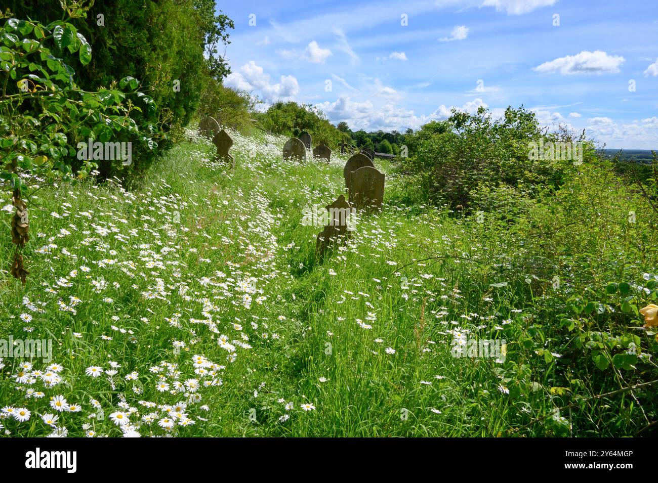 Boughton Monchelsea Village, Kent, Großbritannien. Kirchhof der Peterskirche Stockfoto