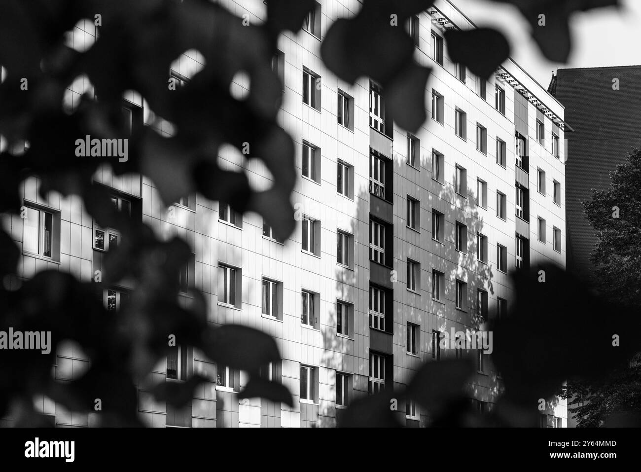 Bilder aus der Landeshauptstadt Magdeburg Sachsen Anhalt Stockfoto