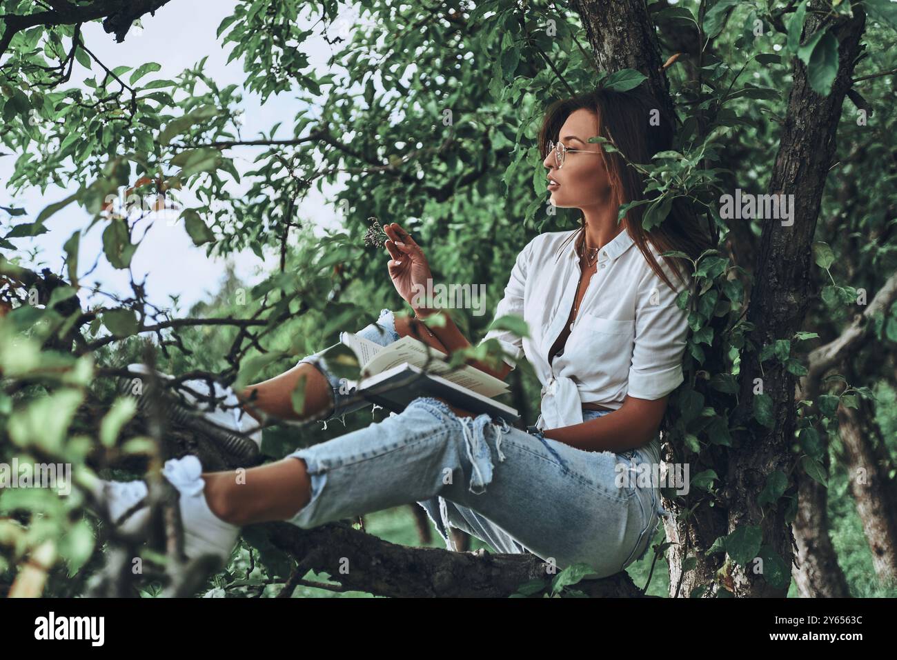 Vor allem zu entkommen. Attraktive junge Frau in Freizeitkleidung, die ein Buch liest, während sie draußen auf dem Baum sitzt Stockfoto