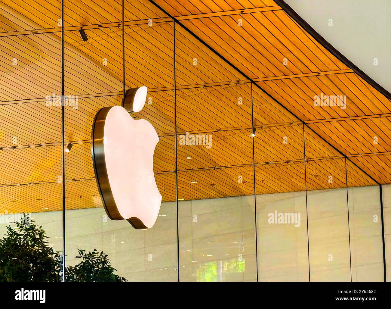 BANGKOK, THAILAND - 23. September 2024 : Apple Logo Marke Neonschild Symbol im Apple Store Gebäude im Apple Store ICONSIAM Einkaufszentrum Stockfoto