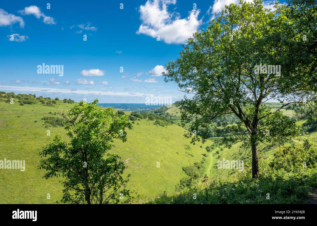 Das Devils Dyke Dry Valley, South Downs, West Sussex, England, ist das längste und tiefste trockene Tal Großbritanniens Stockfoto