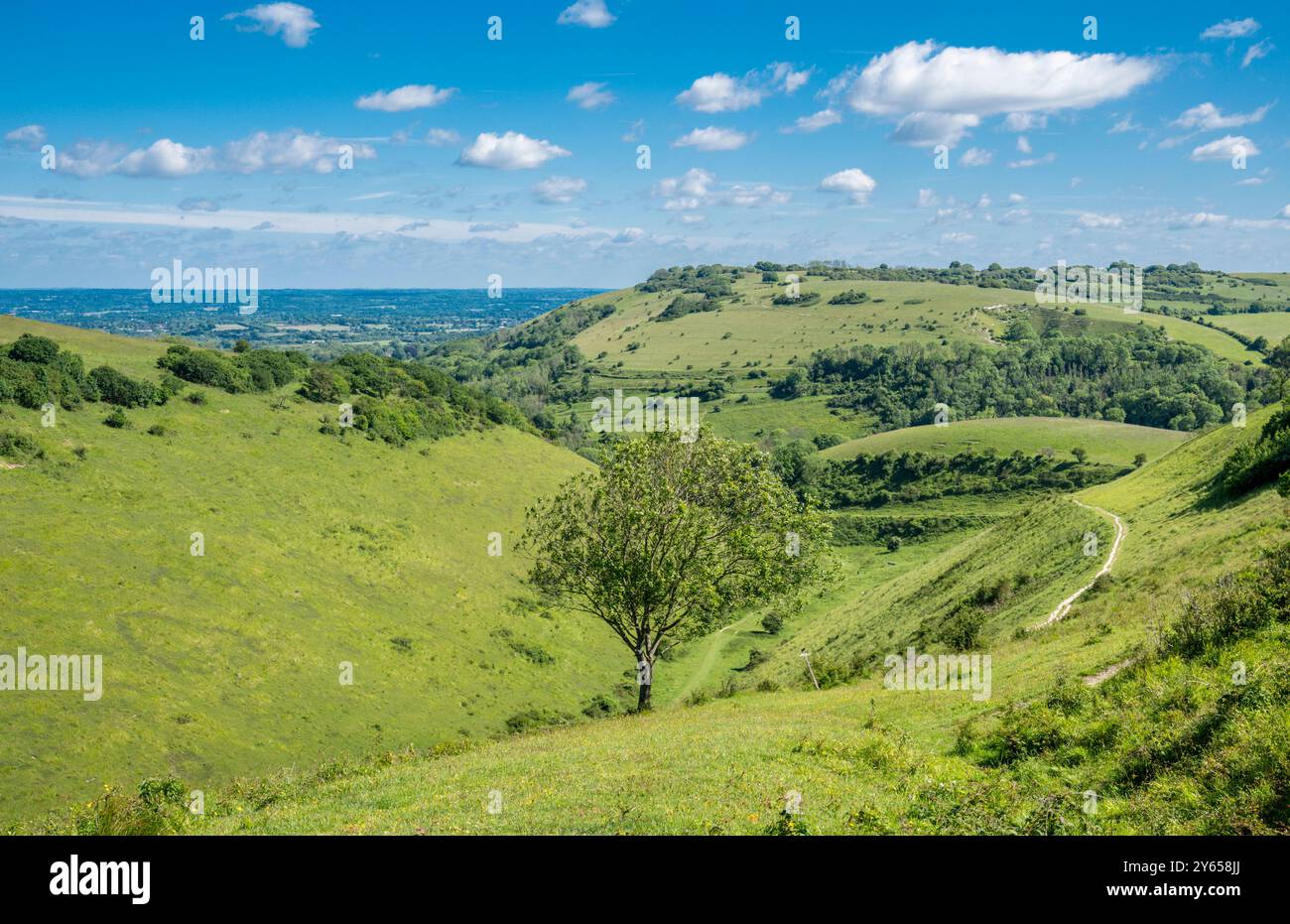 Das Devils Dyke Dry Valley, South Downs, West Sussex, England, ist das längste und tiefste trockene Tal Großbritanniens Stockfoto