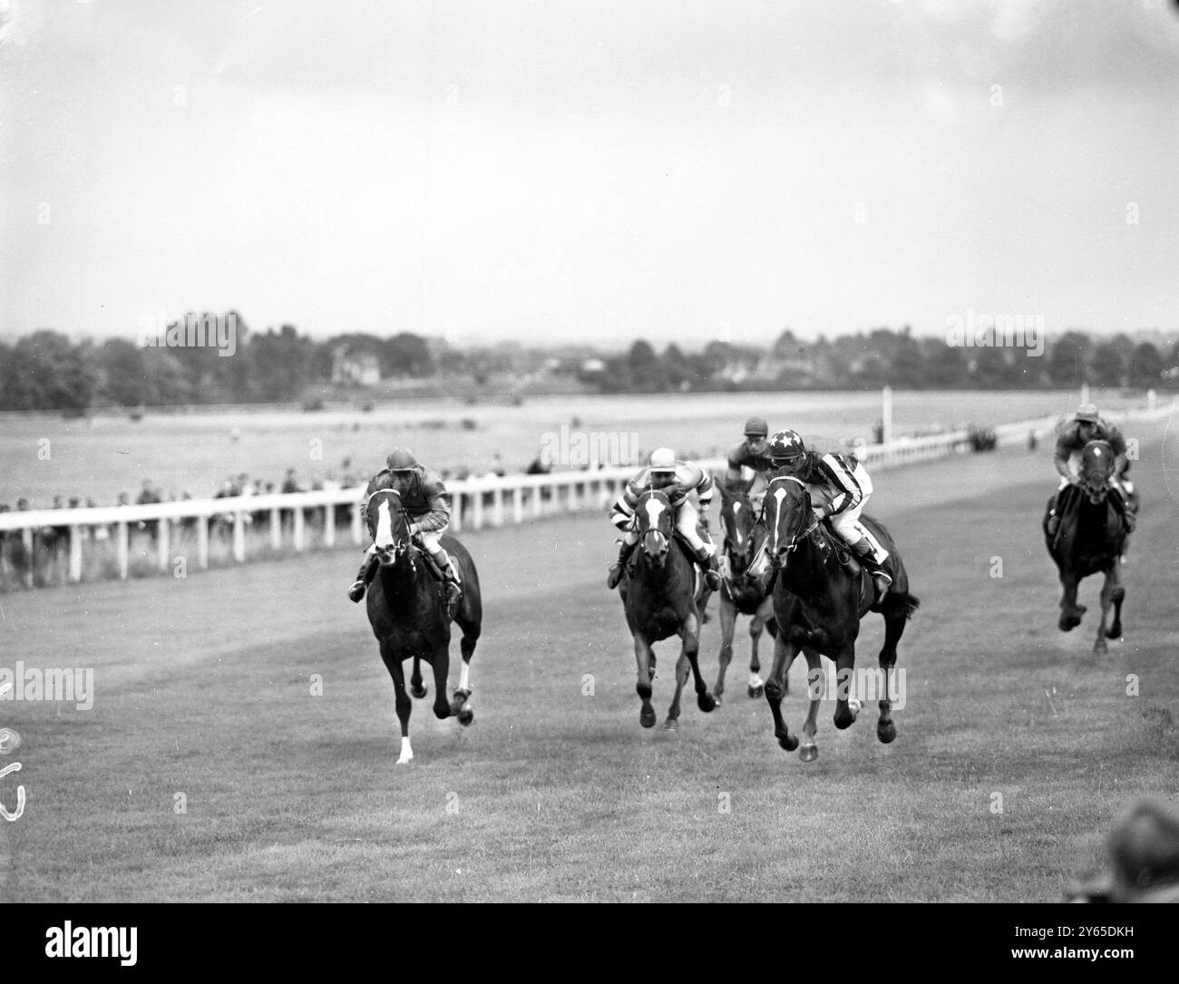 Das Ende der Rose Stakes im Sandown Park heute. Der erste ist fair gesetzt , mit S Clayton oben auf der rechten Seite . Eigentümer ist Mr. F. King. Das zweite ist Spaniers Close , im Besitz von Mrs. J Davis mit E Smith oben , zu sehen links , und das dritte ist die königliche Erbin (Mitte) im Besitz von Mr. Irving Allen und P Tulit oben . 12. August 1959 Stockfoto