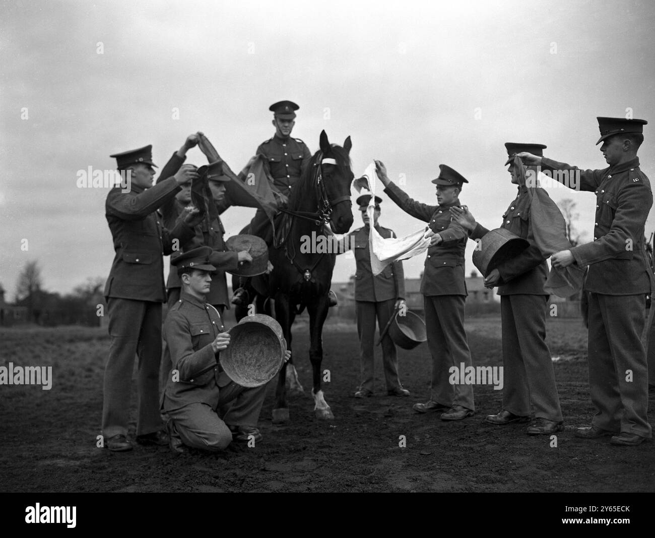 Vierzig weitere Pferde werden nun von der Hauskavallerie in Windsor für den Krönungsdienst ausgebildet. Die Pferde gewöhnen sich an Menschengeräusche , Musik und das energische Wischen der Fahnen . Fast jedes verfügbare Pferd wird während der Krönung benötigt. Foto zeigt : Ein Pferd im Training steht ruhig inmitten eines Tumult aus Beckenschlag und Flaggenwinken , das von den Kavalleristen in Windsor zur Verfügung gestellt wurde . 24. Februar 1953 Stockfoto