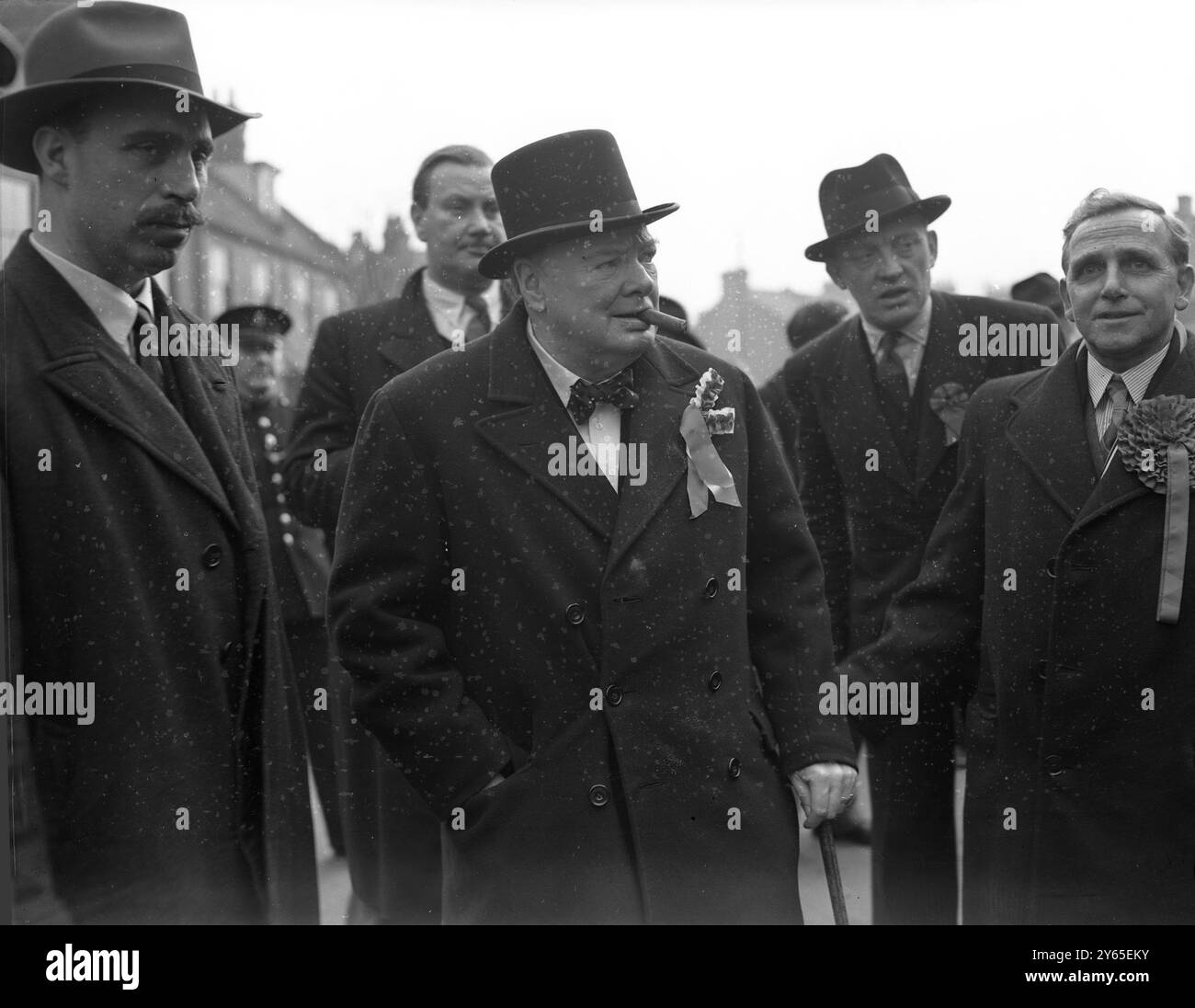 Winnie macht Wahltag Tour in seinem Wahlkreis . Herr Winston Churchill unternahm einen Wahltag durch seinen Wahlkreis Woodford , in einem Auto , das bei den Wahllokalen anrief und in letzter Minute einen Wahlkampf machte . Ein Bild von Herrn Churchill, der während seiner Tour durch Woodford eine seiner berühmten Zigarren raucht. Februar 1950 Stockfoto