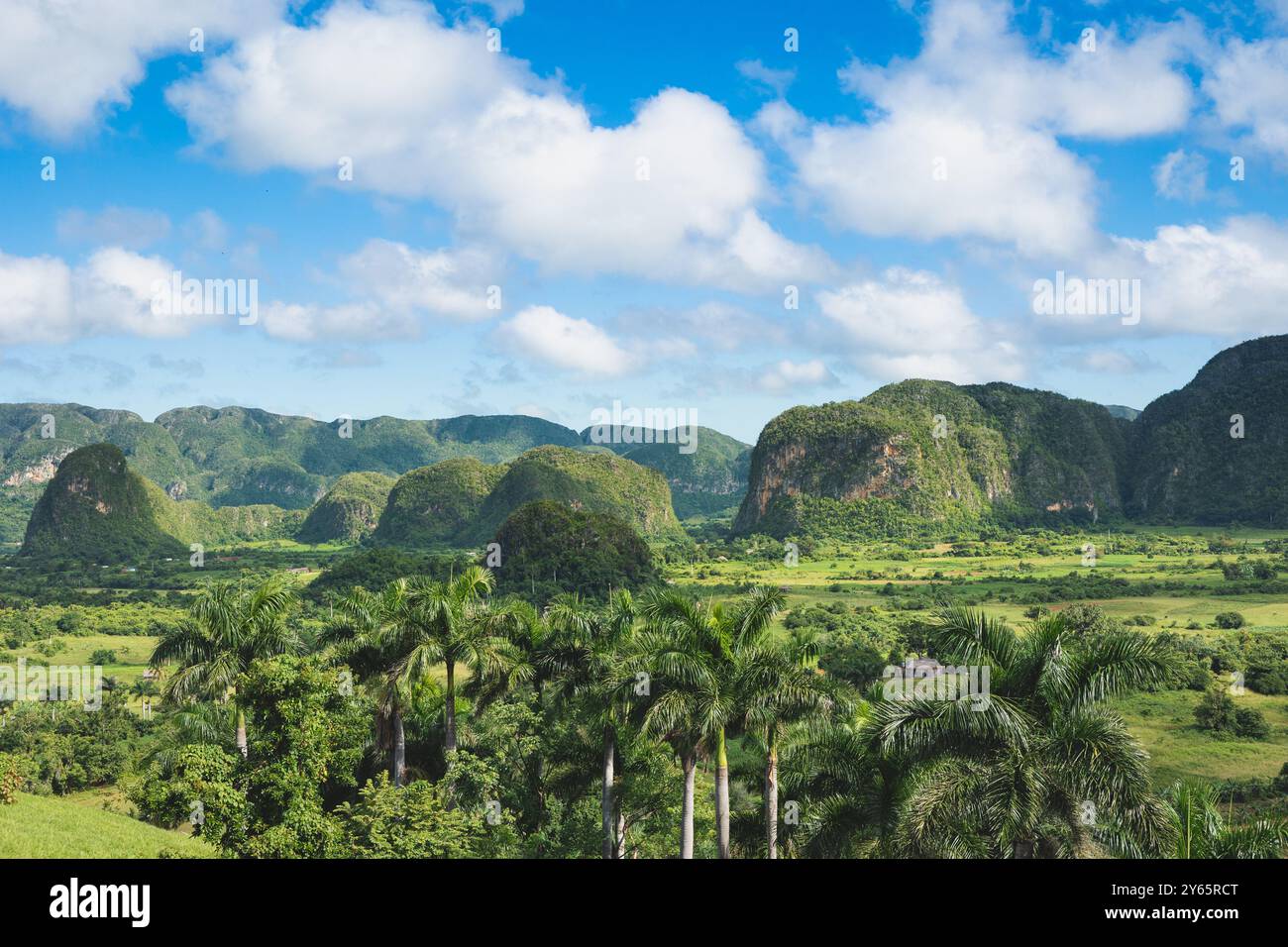 Malerischer Blick auf das üppige Vinales Valley mit Mogoten in Pinar del Rio, Kuba, unter blauem Himmel. Stockfoto