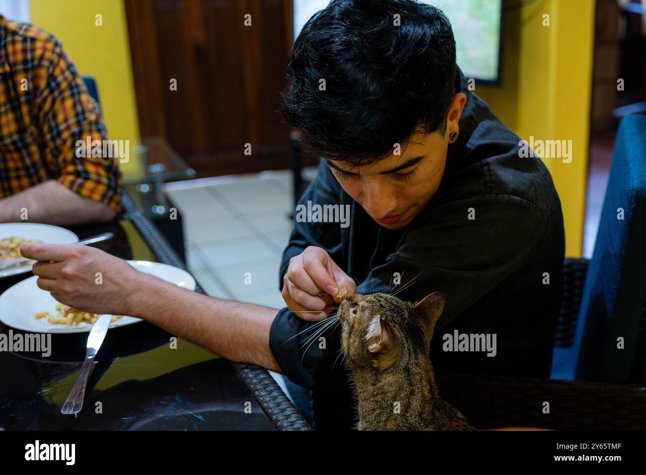 Ein junger Mann mit dunklen Haaren spielt sanft mit einer Tabbykatze, während er an einem Esstisch sitzt. Sein Partner, der im Hintergrund sichtbar ist, genießt eine Mahlzeit im sce Stockfoto