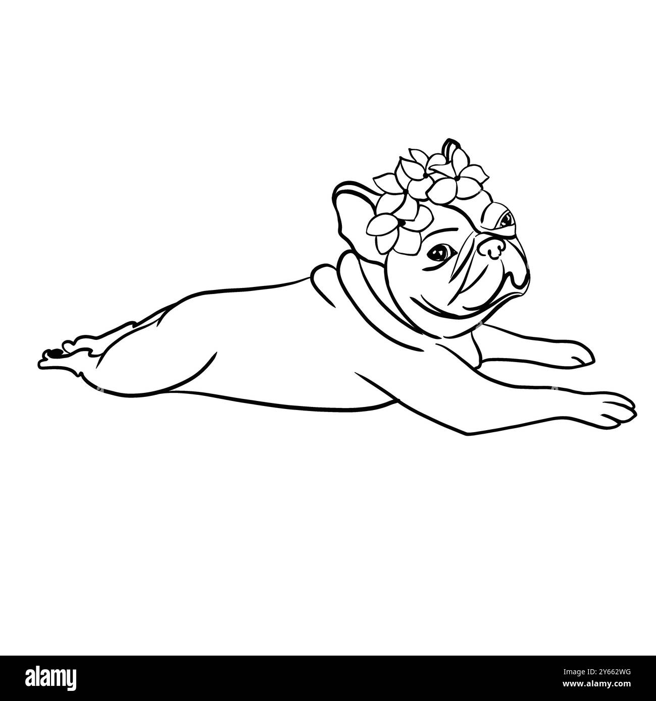 Die französische Bulldogge hat Blumen auf dem Kopf. Flacher Fang. Schwarzweißskizze. Mit einer Linie gezeichnet. Stockfoto