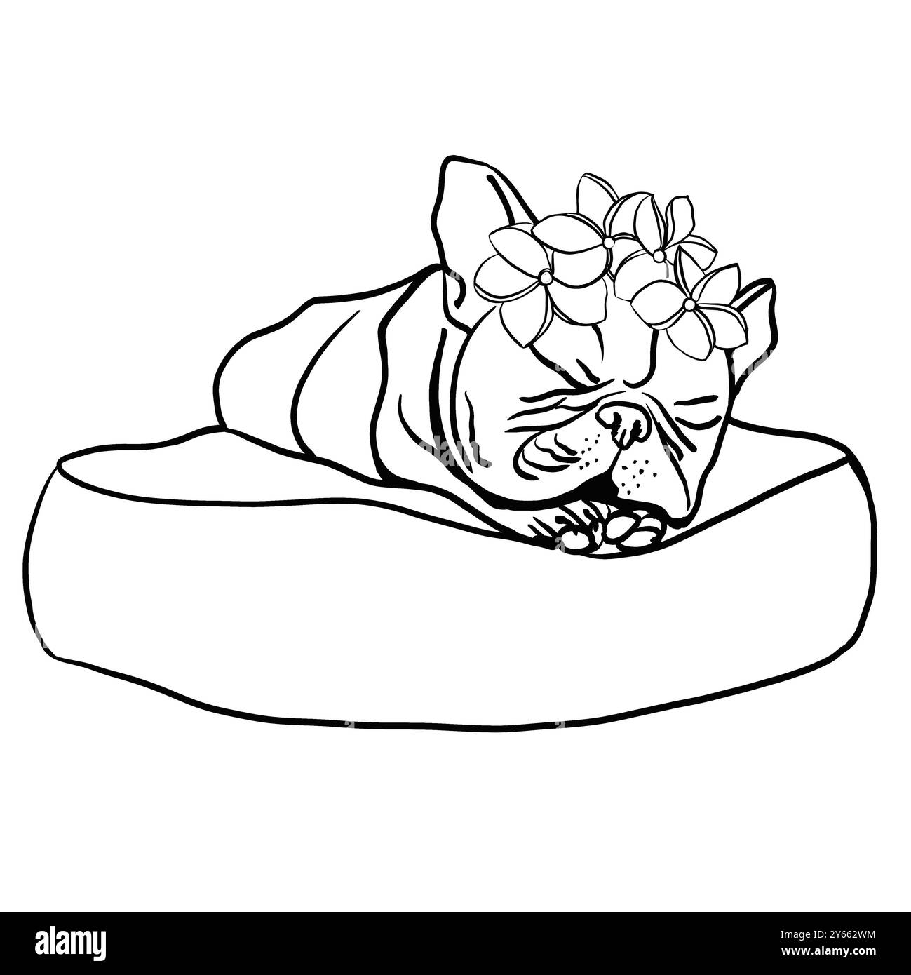 Französische Bulldogge liegt auf einem Kissen. Er hat Blumen auf dem Kopf. Flacher Fang. Schwarzweißskizze. Mit einer Linie gezeichnet. Stockfoto