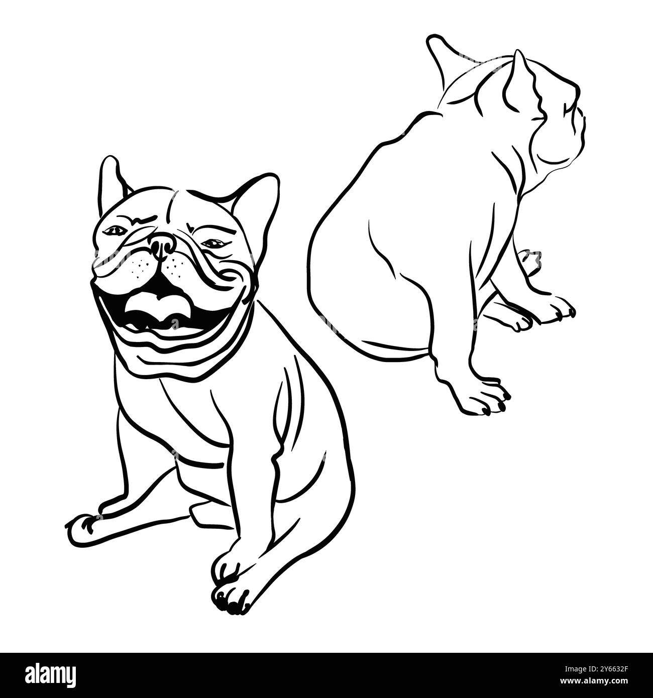 Set mit zwei französischen Bulldoggen. Einer sitzt nach vorne gerichtet. Der andere hat sich abgewandt und blickt zurück. Skizzendarstellung. Schwarz-weiß. Stockfoto