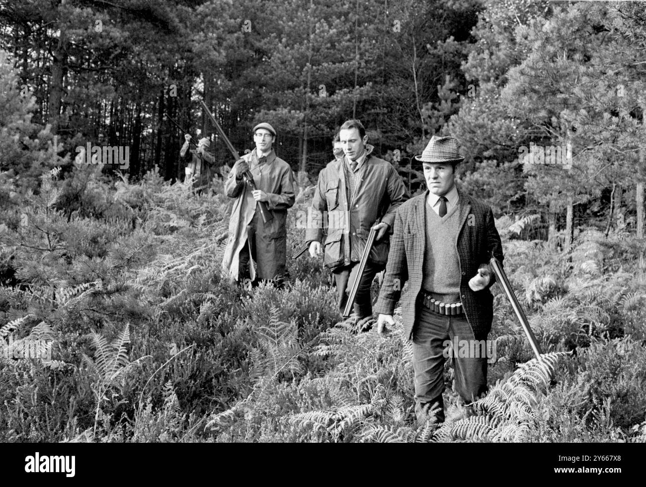 Schieß, um Camberley Surrey zu töten der Befehl lautet, zu töten, und genau das haben diese minister gesehen, wie sie durch einen gemeinsamen Eingang gingen Camberley heute tun ( Hinweis Mann auf rechtsextremer Schießerei ) die Männer gehören zu den 30 Soldaten des ministeriums und 50 Soldaten, die mit ihren 12 Schrotflinten in Aktion traten die Tollwutzone von Camberley mit dem Befehl, jedes wilde Tier und Aasvögel zu töten der Befehl folgt dem Tod eines Kreuzungsterriers durch Tollwut vor zehn Tagen, der vor seinem Tod gedacht wurde um das Gebiet durchstreift zu haben, hat der Hund zwei Menschen gebissen und eine Katze getötet. der Schießplatz besteht aus Baros Stockfoto