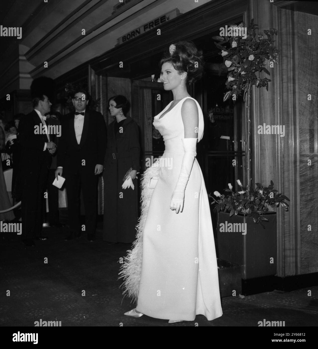 Raquel Welch im Odeon Theatre, Leicester Square, London für die Royal Film Performance 1966, um den Film Born Free in Aid of the Cinema and Television Benevolent Fund zu sehen. 14. März 1966 Stockfoto