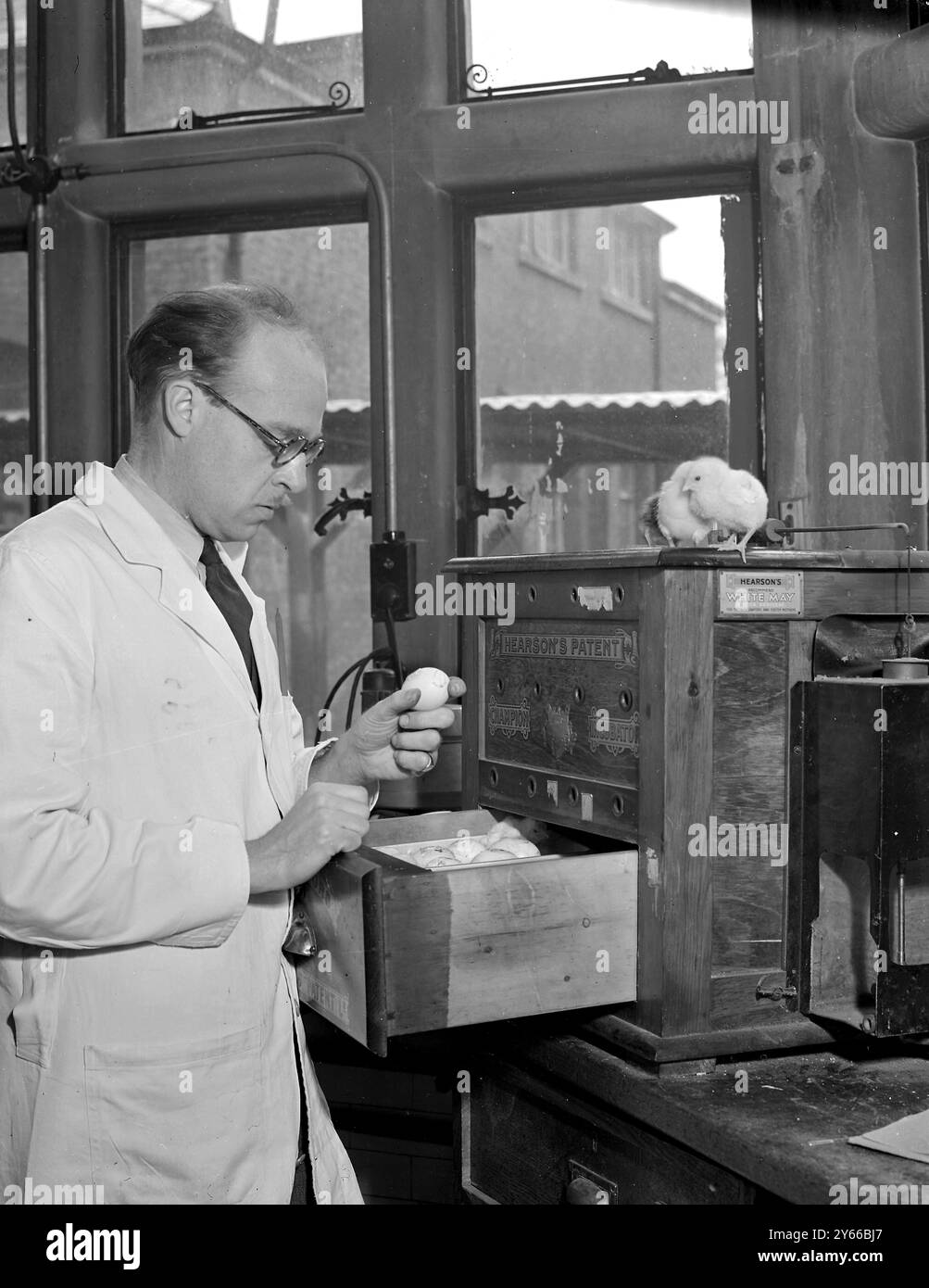 Public Health Laboratory, Colindale Stockfoto