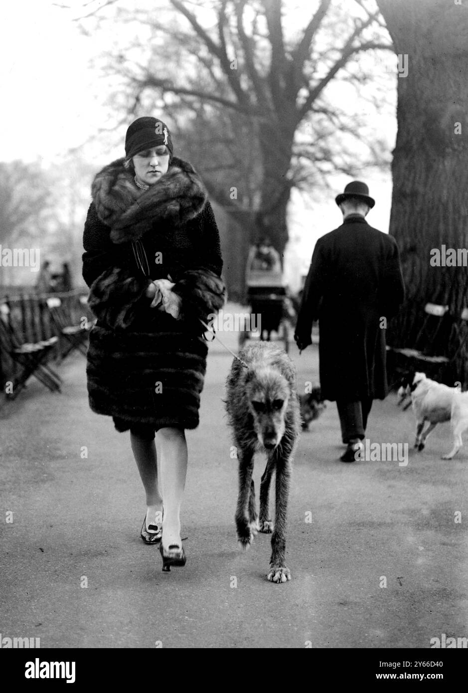 Mrs Worthington geht mit ihrem irischen Wolfshund im Park, London 9. Februar 1928 Stockfoto