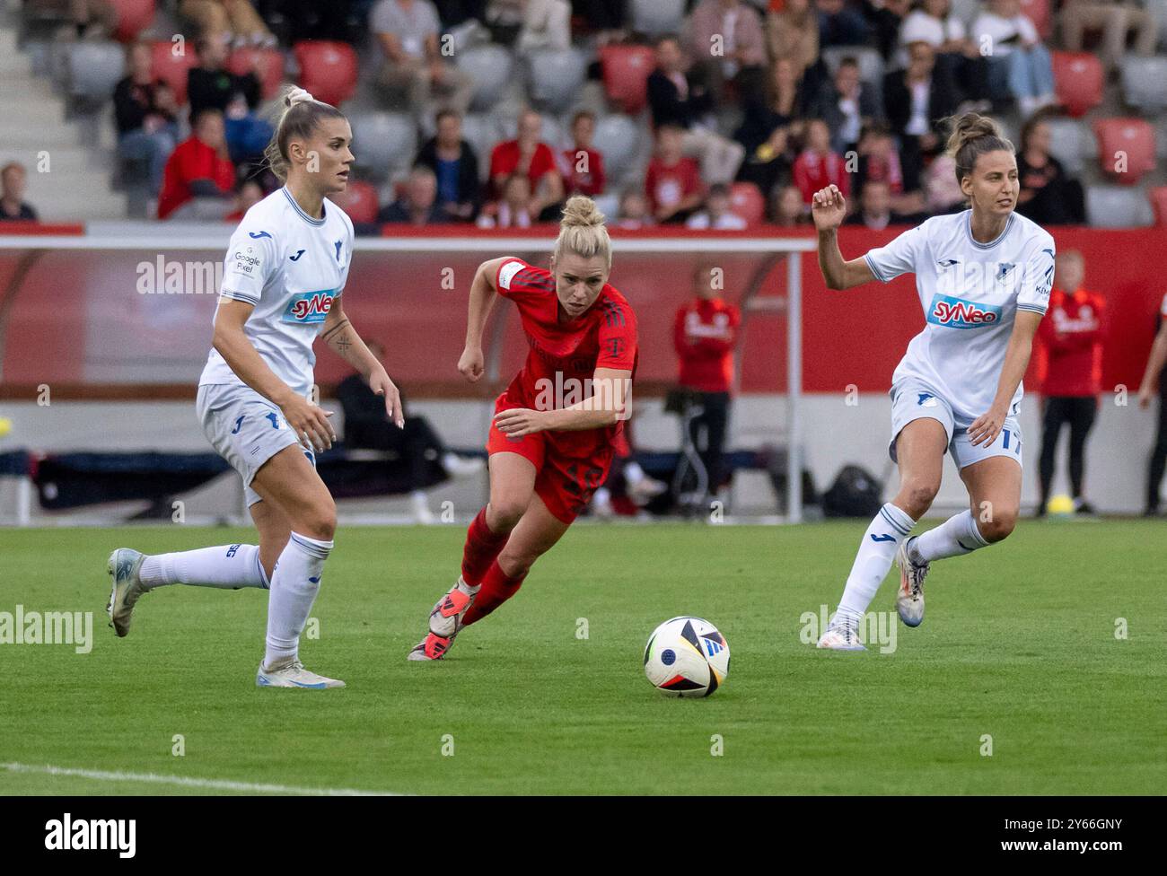 Selina Cerci (TSG Hoffenheim, #29) und Franziska Harsch (TSG Hoffenheim, #17) gegen Linda Dallmann (FC Bayern München Frauen, #10). FC Bayern München Frauen gegen TSG Hoffenheim, Fussball, Google Pixel Frauen-Bundesliga, 3. Spieltag, Saison 2024/2025, 23.09.2024. (DIE DFL-DFB-VORSCHRIFTEN VERBIETEN DIE VERWENDUNG VON FOTOS ALS BILDSEQUENZEN UND/ODER QUASI-VIDEO). Foto: Eibner Pressefoto/Heike Feiner Stockfoto