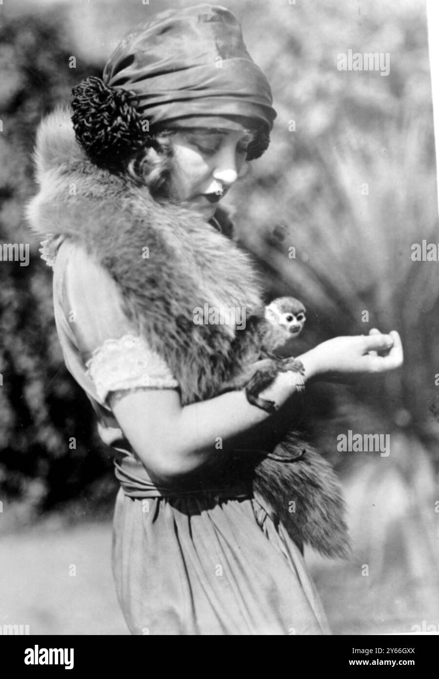 Der kleinste Monkey in Gefangenschaft gehört Miss Ruth Clifford, einem Zwergexemplar des Eichhörnchenaffen am 25. Januar 1923 Stockfoto