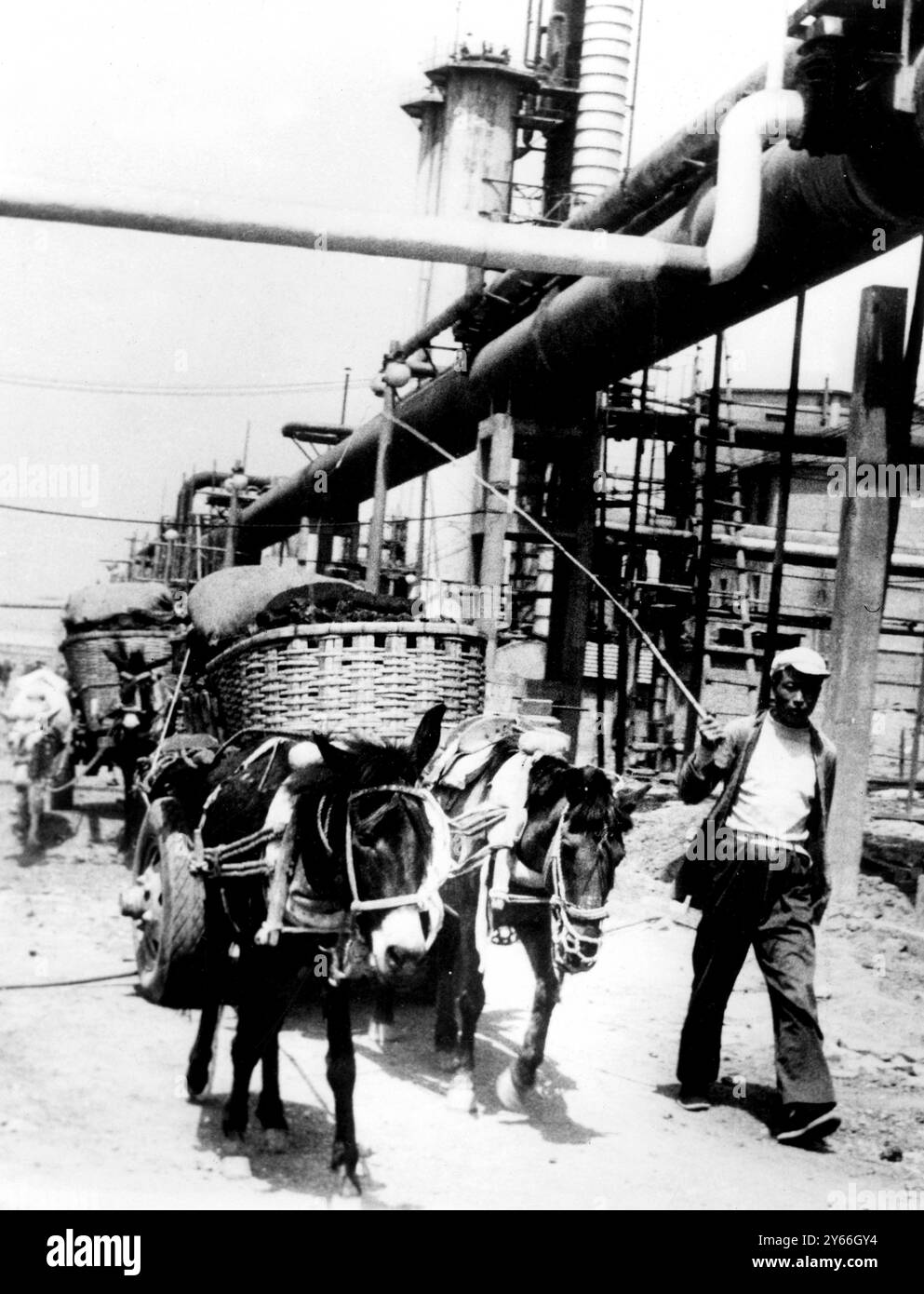 Die kommunistischen Chinesen rühmen sich mit ihren modernen Fabriken und verstärkten die Industrialisierung, aber ein näherer Blick auf eine neue Fabrik hier zeigt, dass es an geeigneter Ausrüstung fehlt. Anstelle von LKWs wird die Kohle durch eine stabile Linie von Mullkorb-Wagen zum Werk transportiert. Solche primitiven Wagen Rollen im alten China seit Jahrhunderten, nur die Gummireifen sind modern - 7. Februar 1962 Stockfoto