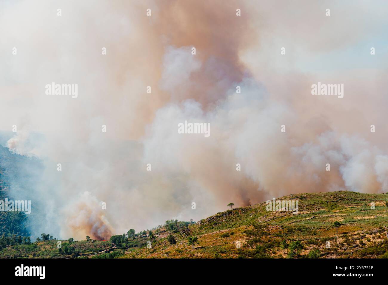 Wilde Brände, Douro-Tal, westlich von Pinhao und östlich von Cinfaes, aufgenommen nördlich von Verdozeda Stockfoto