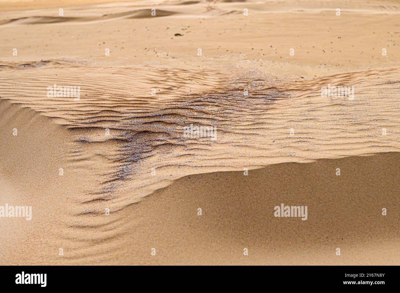 Goldene Sanddünen bewegen sich und welken und bilden komplizierte Muster unter hellem Sonnenlicht. Stockfoto