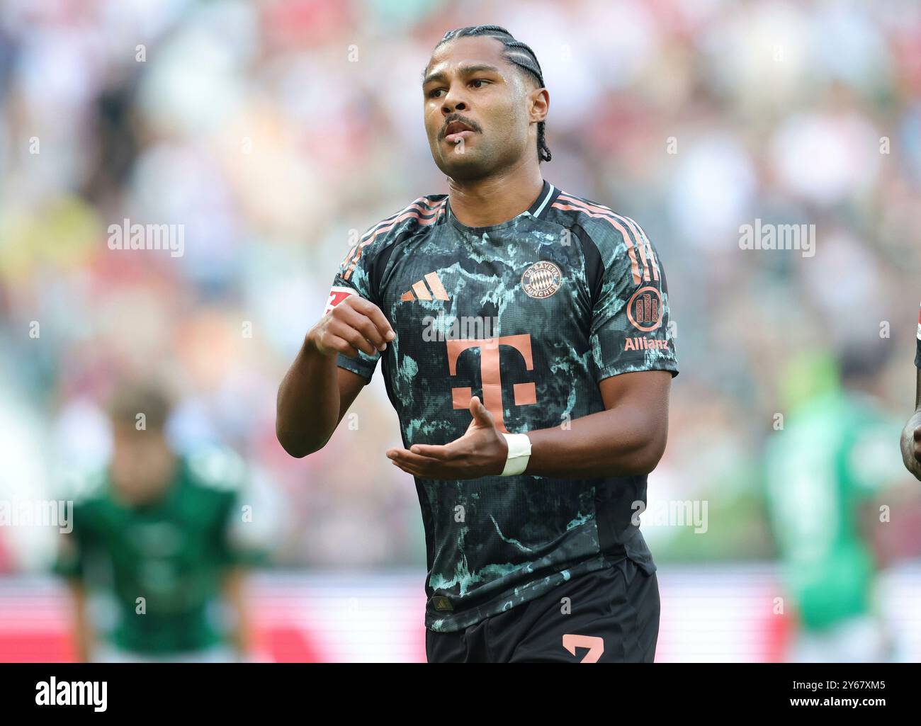 Bremen, Deutschland. September 2024. firo: 21.09.2024, Fußball, 1. Liga, 1. Bundesliga, Saison 2024/2025, SV Werder Bremen SVW - FC Bayern München München München Serge Gnabry vom FC Bayern München feiert den fünften Torjubel Jubel nach Tor und schafft es 5-0 Credit: dpa/Alamy Live News Stockfoto