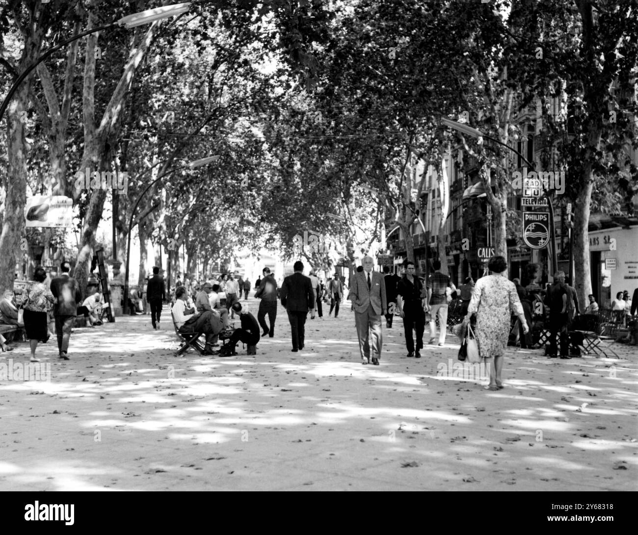 Mallorca Palma Die Promenade Stockfoto