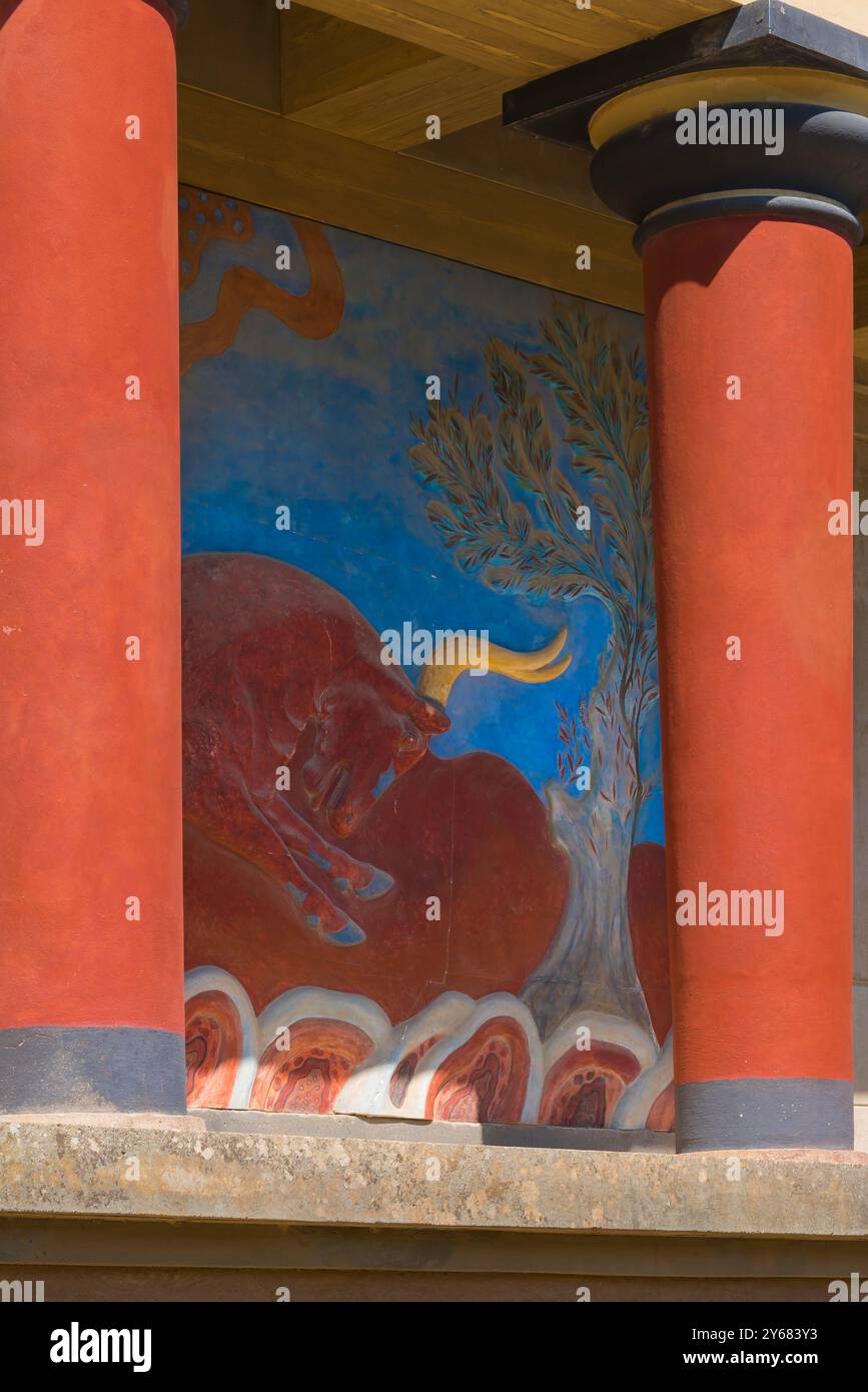 Knossos Fresko Kreta, Detail eines Wandgemäldes, bekannt als Stierrelief, befindet sich in der Nähe des Nordeingangs zum alten minoischen Palast von Knossos auf Kreta. Stockfoto
