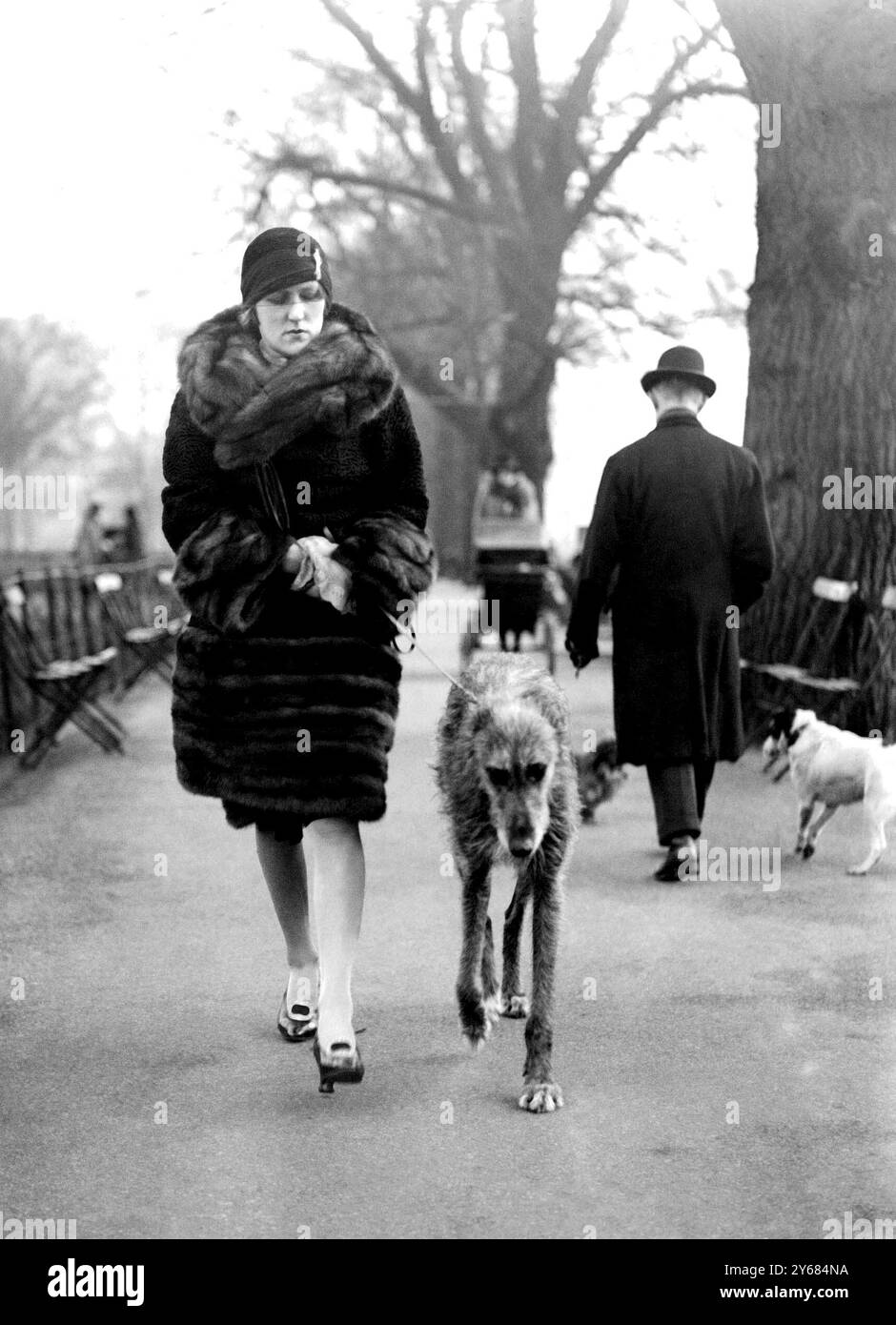 Im Park, London. Mrs. Worthington und ihr irischer Wolfshund. Februar 1928 Stockfoto