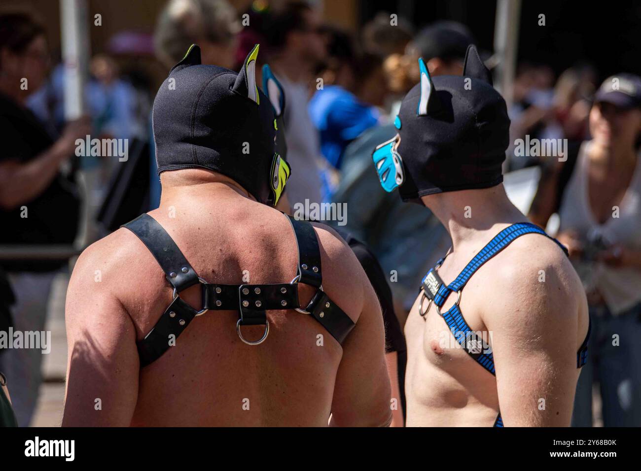 Hündchen spielen. Männer, die Welpenmasken oder Hauben und Gurte tragen, bei der Helsinki Pride 2024 Parade in Helsinki, Finnland. Stockfoto