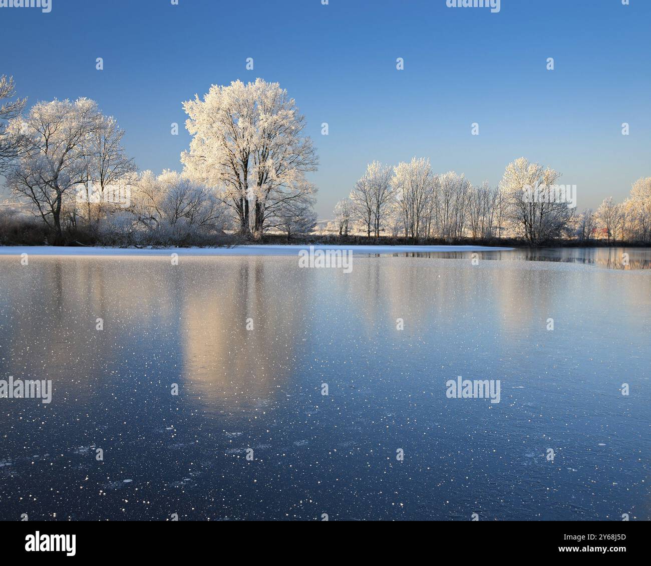 Halbgefrorener kleiner See im Winter, Saalearm, Bäume mit Schnee und Raureif am Ufer, Eiskristalle im Vordergrund, Unteres Saaletal nat Stockfoto