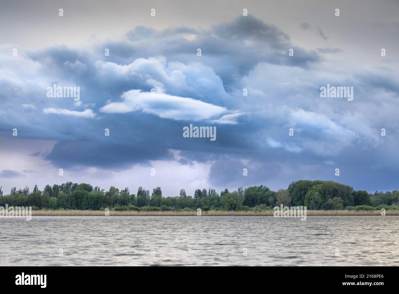 Dichte Sturmwolken über einem See und einem bewaldeten Ufer, Naturfreundehaus, Markelfingen, Untersee, Bodensee, Landkreis Konstanz, Baden-Württemberg Stockfoto