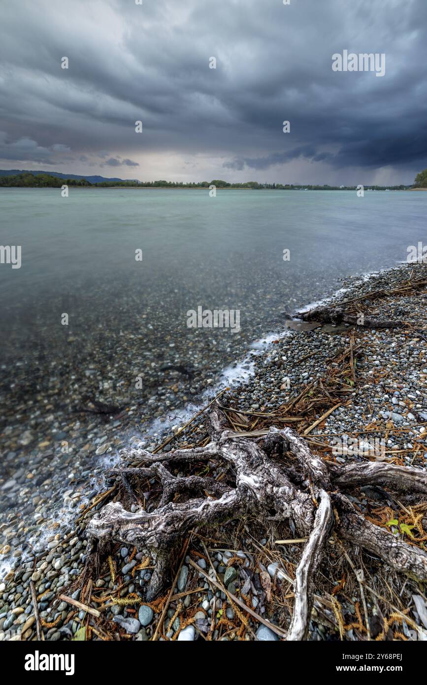 Ein bewölkter See mit düsterem Himmel und Wurzeln am Kiesstrand, Naturfreundehaus, Markelfingen, Untersee, Bodensee, Kreis Konstanz, Baden-Württemberg Stockfoto