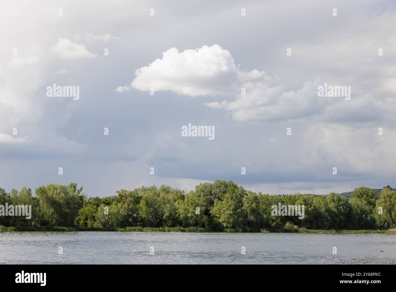 Eine Landschaft aus einem See, flankiert von üppiger grüner Vegetation und bewölktem Himmel, Markelfingen, Markelfingerwinkel, Untersee, Bodensee, Constance Distric Stockfoto