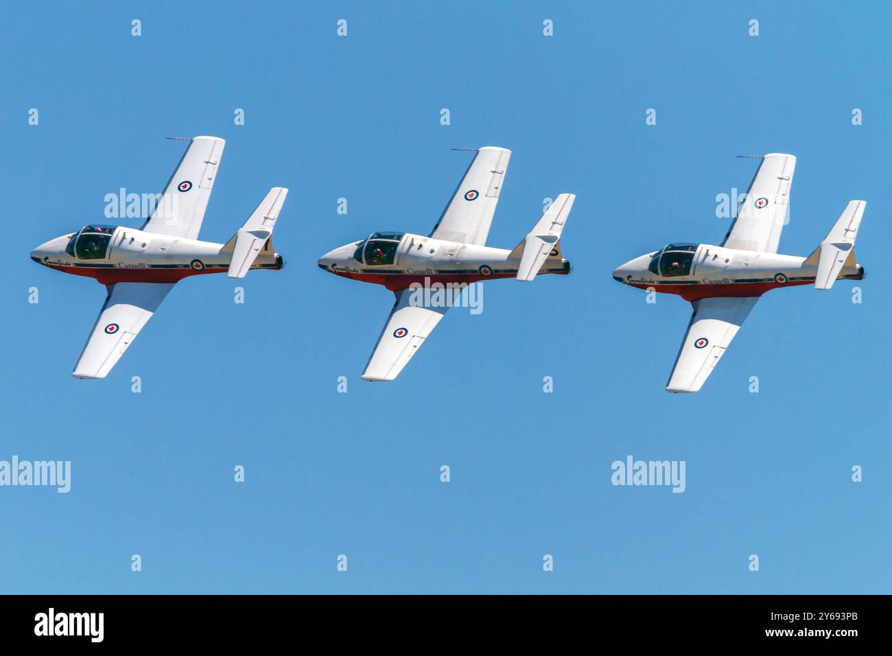 Das Demonstrationsgeschwader der Royal Canadian Air Force, The Snowbirds, trat auf einer Flugschau in St. Thomas, Ontario, Kanada (2016) auf. Stockfoto