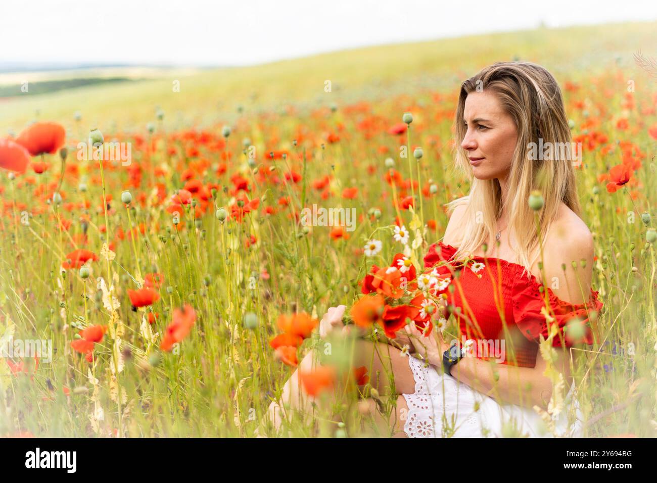 Blonde junge Frau, die Blumen auf einem Feld mit rotem Mohn pflückt. Stockfoto