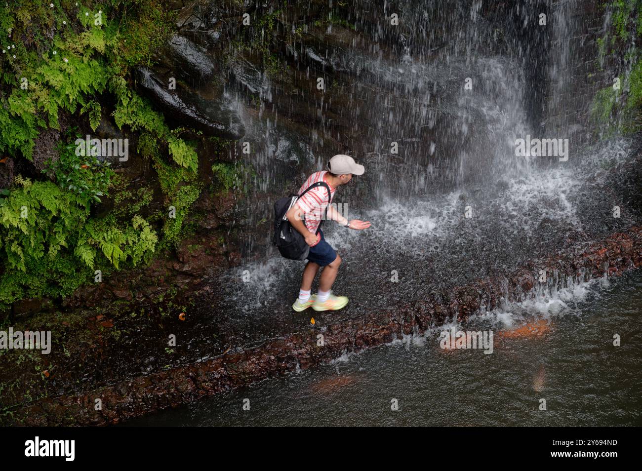 Mann geht vorsichtig unter einem Wasserfall in den Gärten des monte Palace, umgeben von üppigem Grün Stockfoto