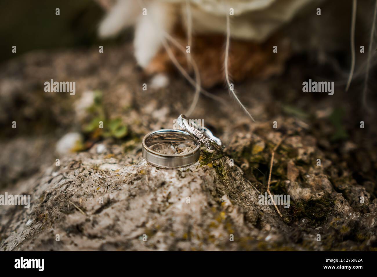 Elegante Eheringe auf einer strukturierten Steinoberfläche, umgeben von natürlichen Elementen. Stockfoto