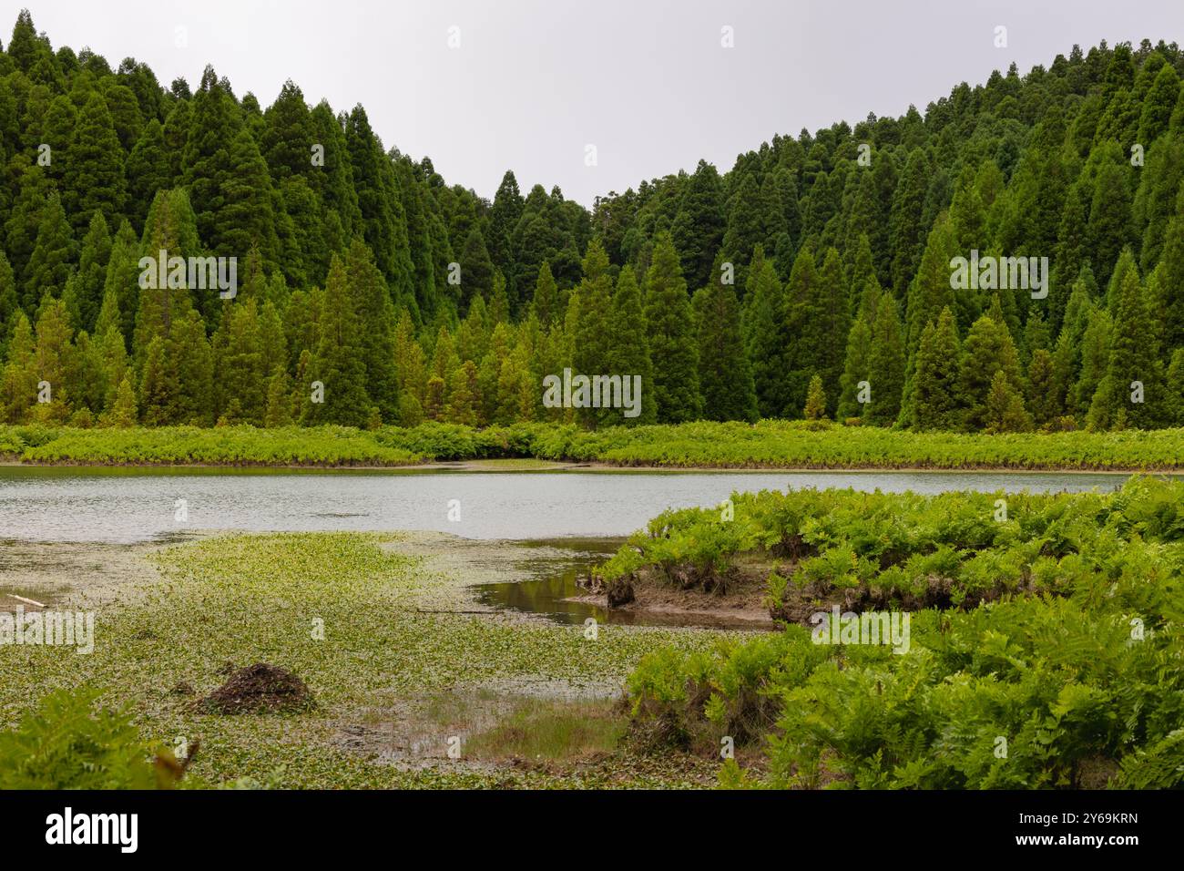 Lagoa do Canario „Kanarische Lagune“ in Sete Cidades. Sao Miguel, Azoren, Portugal Stockfoto