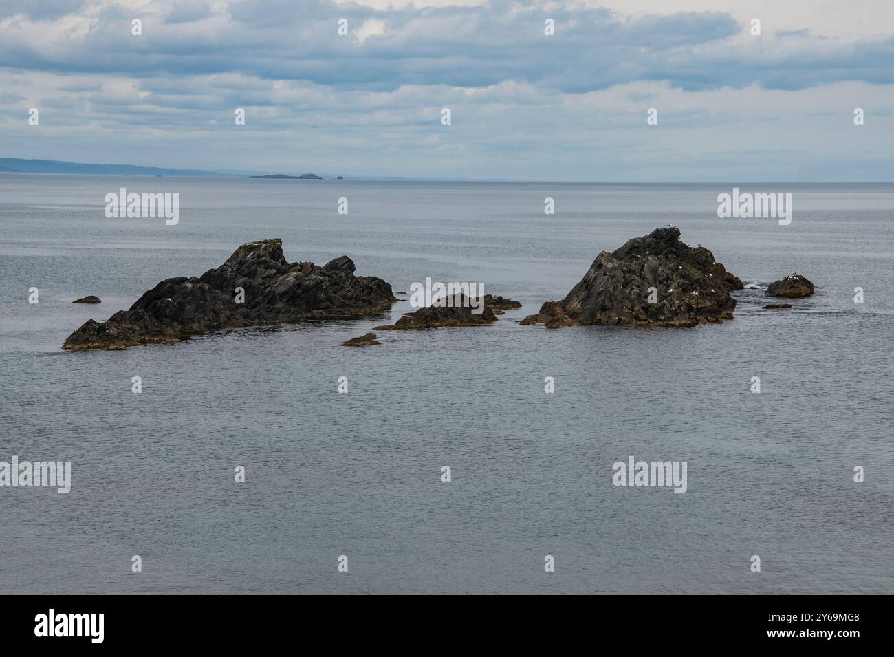 Southern Rocks am Green Point Lighthouse in Port de Grave, Neufundland & Labrador, Kanada Stockfoto