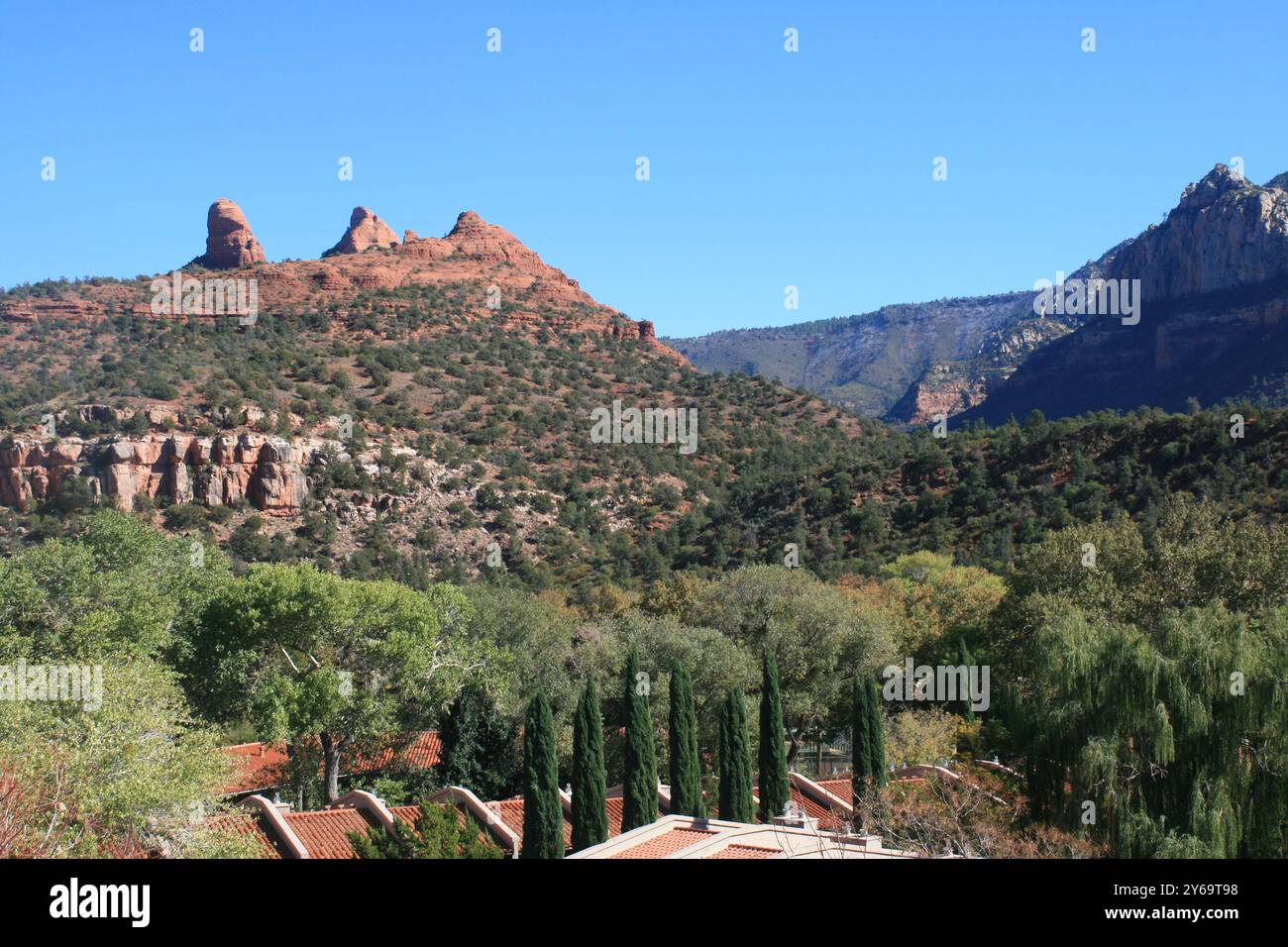 Majestätische Berge von Arizona erheben sich in der Ferne, umgeben von üppigen Wüstenbäumen, die die raue Schönheit und die ruhige Wildnis des Südwestens einfangen. Stockfoto