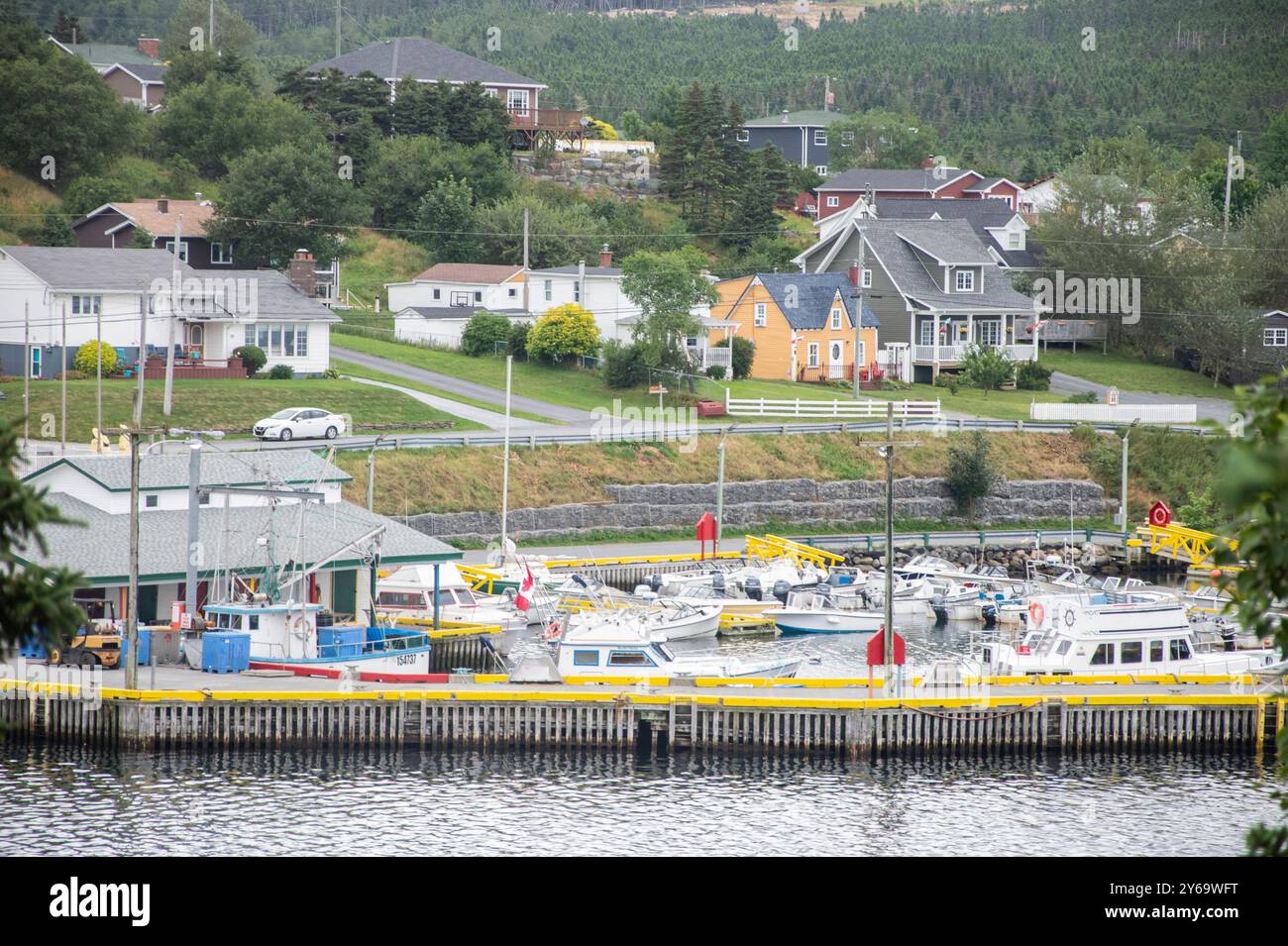 Blick auf den Hafen vom Smith's Lookout in Dildo, Neufundland und Labrador, Kanada Stockfoto