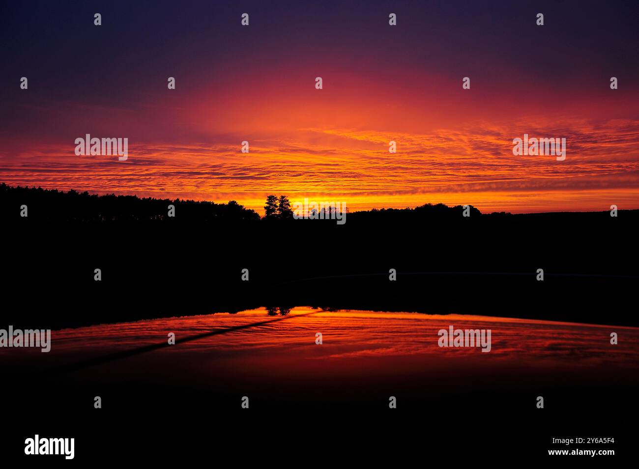 Atmosphäre, Schönheit, Natur, Licht, Farbsymphonie, Goldtöne bei Sonnenuntergang, abstrakte Natur, Klima-Visualisierungen, Wetter, Jahreszeiten, Stockfoto