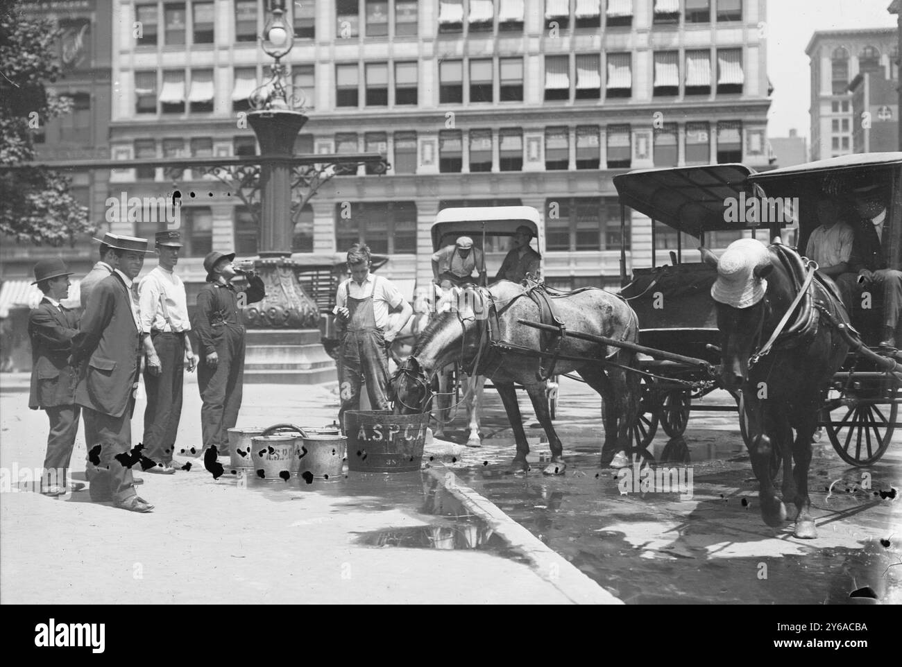 Heißer Tag, tränken Pferde, Foto zeigt Pferde trinken Wasser, Union Square, New York City., 7. Juli 1911, Glas negative, 1 negativ: Glas; 5 x 7 Zoll Oder kleiner. Stockfoto