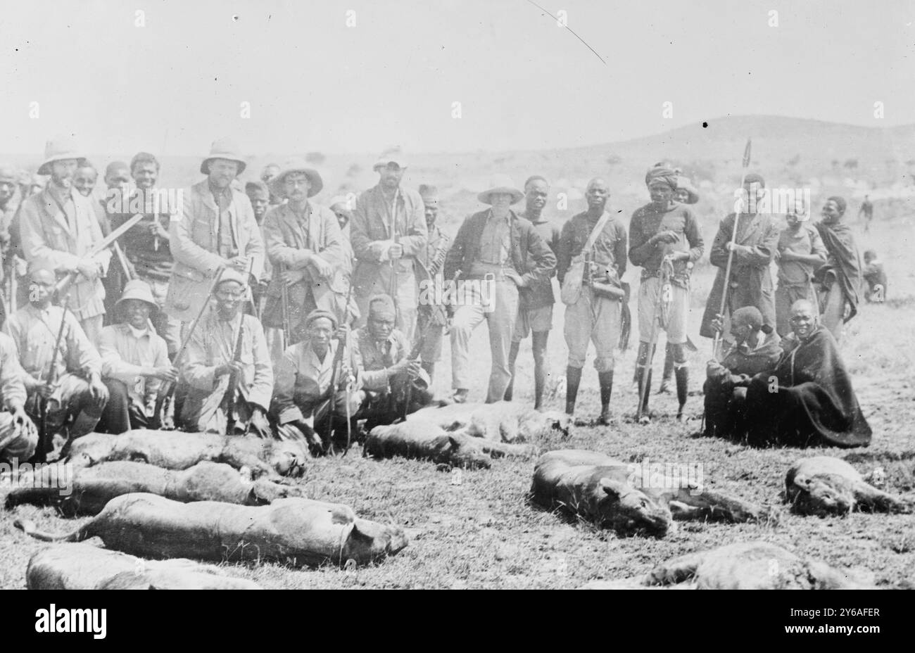 Morgenarbeit - getötet in 15 Minuten - Paul Raineys afrikanische Jagd., Foto zeigt den Geschäftsmann, Jäger und Philanthropen Paul James Rainey (1877-1923) und afrikanische Männer mit toten Löwen? In Afrika, zwischen ca. 1910 und ca. 1915, Glasnegative, 1 negativ: Glas; 5 x 7 Zoll Oder kleiner. Stockfoto