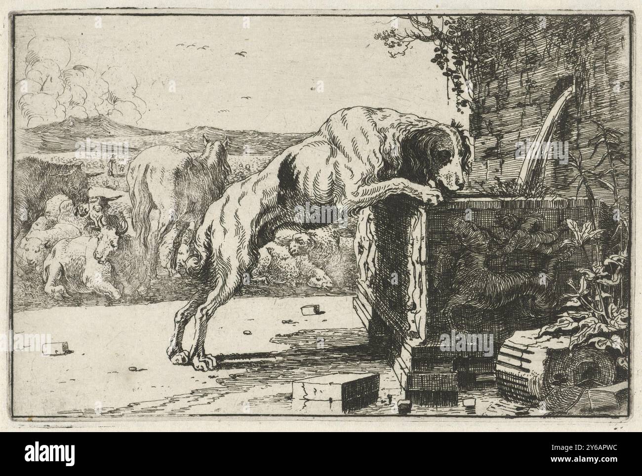 Trinkhund, Hund an einem Brunnen, Tiere (Serientitel), Zoographiam (Serientitel), Ein Trinkhund auf seinen Hinterbeinen an einem Brunnen, im Hintergrund Kühe, Schafe, Esel und Pferde., Druck, Druckerei: Jan van den Hecke (I), nach eigenem Entwurf von: Jan van den Hecke (I), Brüssel, (möglicherweise), 1656, Papier, Ätzen, Höhe, 107 mm x Breite, 163 mm Stockfoto