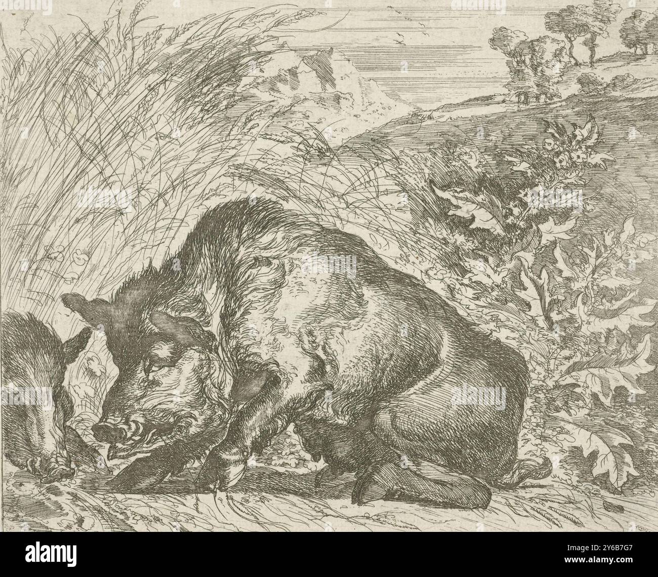 Wildschweine, verschiedene Tiere (Titel der Serie), ein Wildtier in einer Landschaft. Druck aus einer Serie von Drucken mit Jagdtieren., Druck, Druckerei: Abraham Daniëlsz. Hondius, nach eigenem Entwurf von Abraham Daniëlsz. Hondius, Herausgeber: Monogrammist RP, London, 1672, Paper, Ätzen, Trockenpunkt, Höhe, 140 mm x Breite, 170 mm Stockfoto